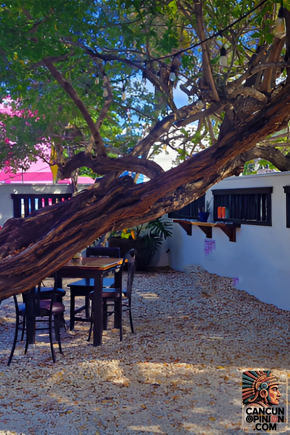 Isla Brewing Company